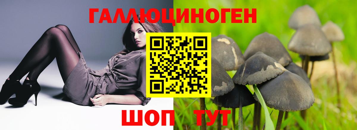 Галлюциногенные грибы MAGIC MUSHROOMS Изобильный